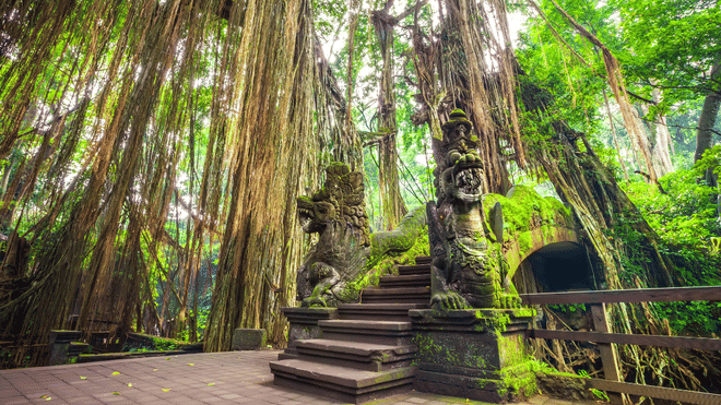 Ubud Scenic Tour with Jungle Swing 10