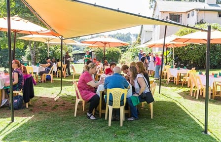 Kiambethu Tea Farm Tour with Lunch from Nairobi