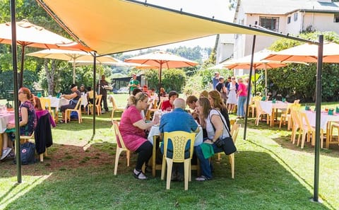 Kiambethu Tea Farm Tour with Lunch from Nairobi