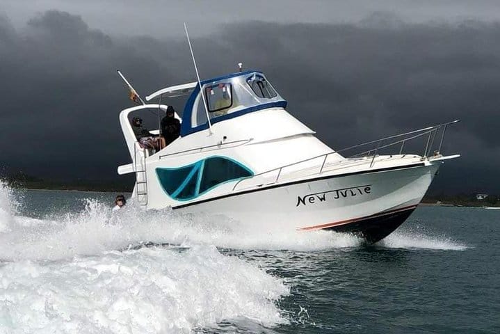 Island Hopping the Galapagos: Your Afternoon Ferry from Isabela to Santa Cruz