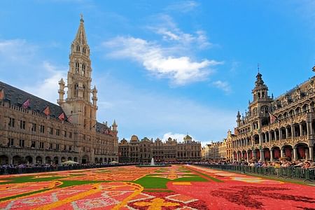 Private Guided Tour of Brussels: Explore Iconic Landmarks & Culture