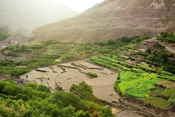 Atlas Mountains Day Trip from Marrakech with Camel Ride