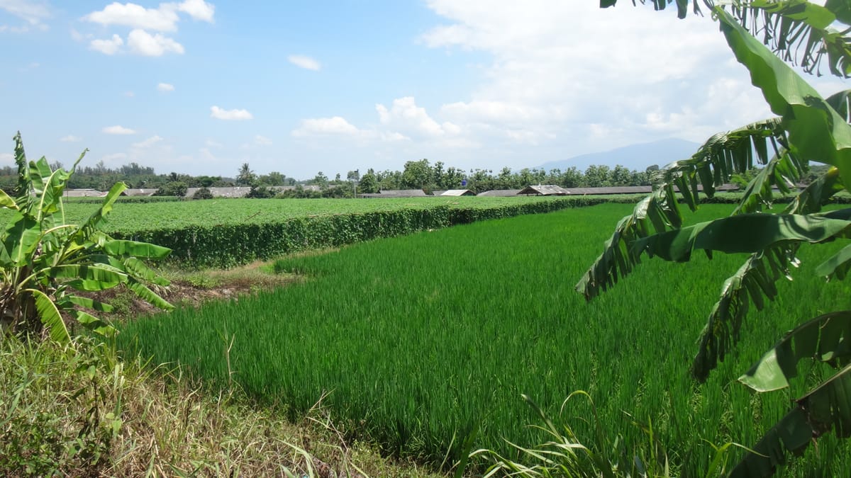 Chiang mai Suthep National Park Leisure Hiking & Mountain Biking