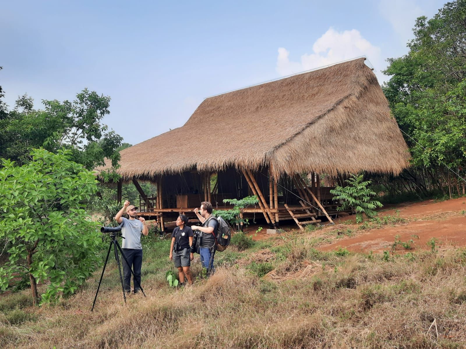 Grass-roofed bamboo lodge over looking the forest