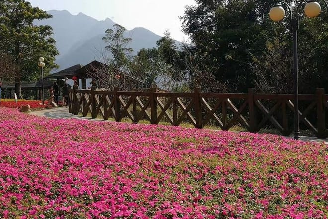 Liuxihe National Park