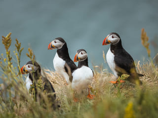 South Coast | Private Tour | Photo Package included, photo 9