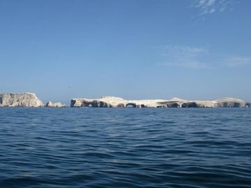 Ballestas Islands Wildlife Boat Tour from Paracas