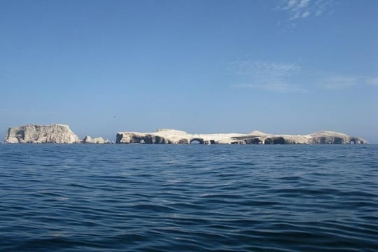 Ballestas Islands Sigthseeing Tour