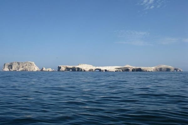 Ballestas Islands Sigthseeing Tour