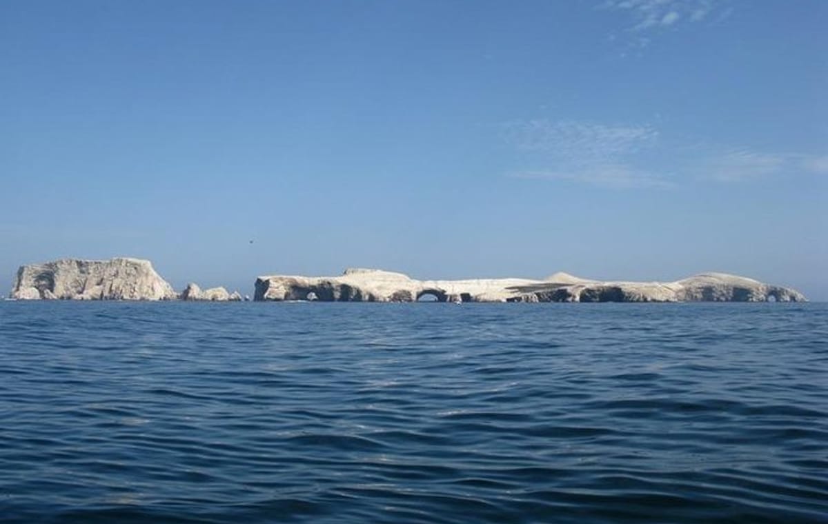 Ballestas Islands Sigthseeing Tour