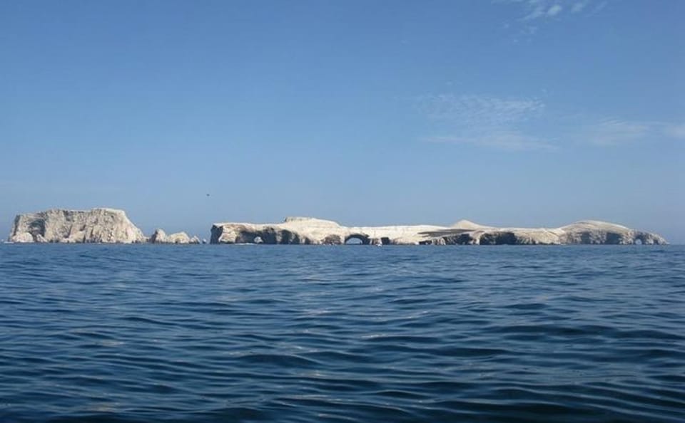 Ballestas Islands Wildlife Boat Tour from Paracas