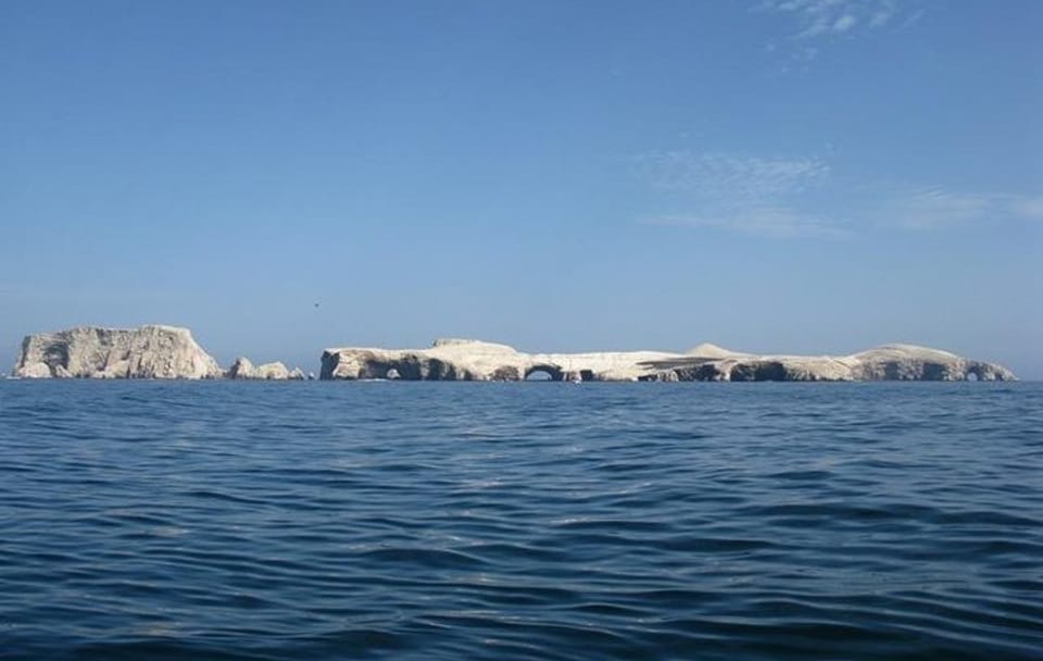 Ballestas Islands Wildlife Boat Tour from Paracas