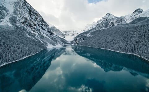 Winter Scenic Tour of Lake Louise and Peyto Lake from Calgary