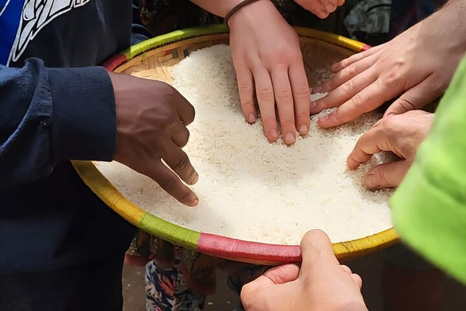 Close-up of travelers' hands sorting and cleaning raw rice in a large traditional woven basket during a cultural tour.