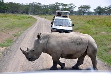 2-Day Luxury Lodge Safari in Aberdare National Park, Kenya