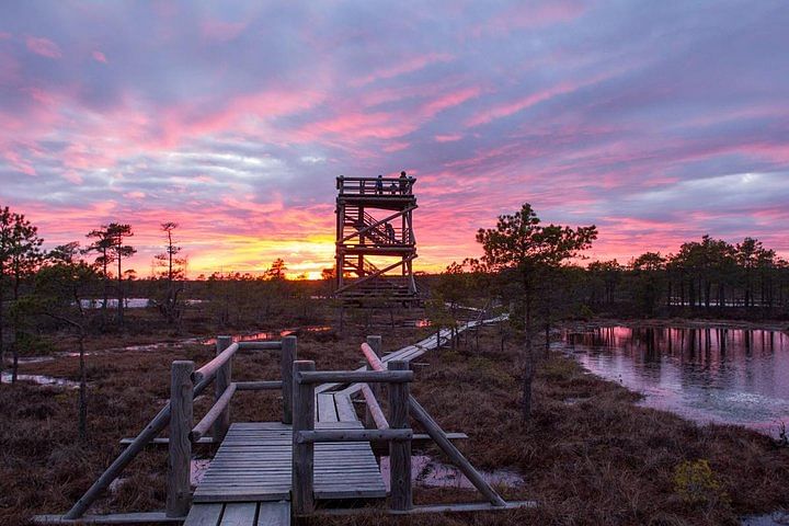 Explore Kemeri National Park & Jurmala: Nature Walk & Coastal Charm