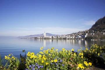 Montreux Musical Heritage Tour: Freddie Mercury to Jazz Legends