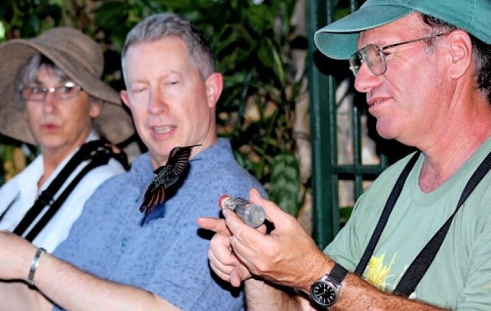 Rocklands Bird Sanctuary and Montego Bay Tour from Falmouth