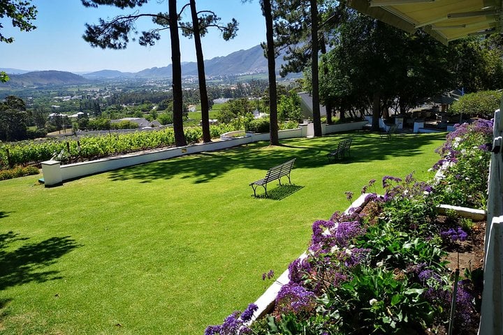 I & F Elegant Country Tours: Private Stellenbosch, Franschhoek & Paarl Wine Tour from Cape Town — Stellenbosch - Photo 4