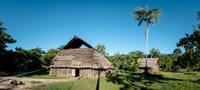 La Serenidad del Río en el Amazonas 5