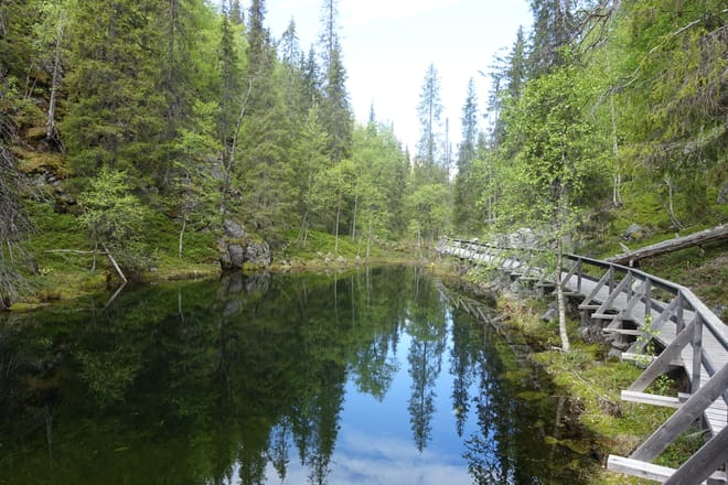 Guided Hike to Pyhä-Luosto National Park - Explore Secrets of Finnish Nature and Finland Deepest Gorge 10