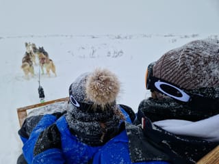 Siberian Husky Dog Sledding, photo 11
