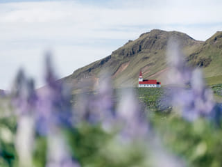 Beautiful country side church at Viking village surrounded by Alaska lupins