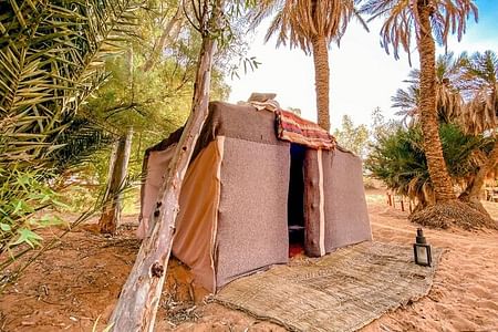 Authentic Overnight Desert Oasis Camp Experience in Merzouga Dunes