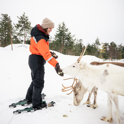 Snowshoe trip to meet reindeer in Rovaniemi - Image 6