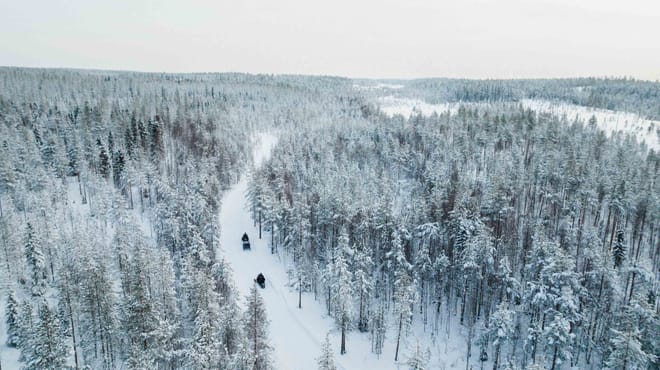 Half-Hour Snowmobile Tour photo 6
