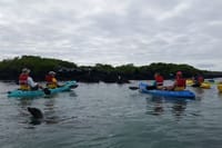 Kayaking
