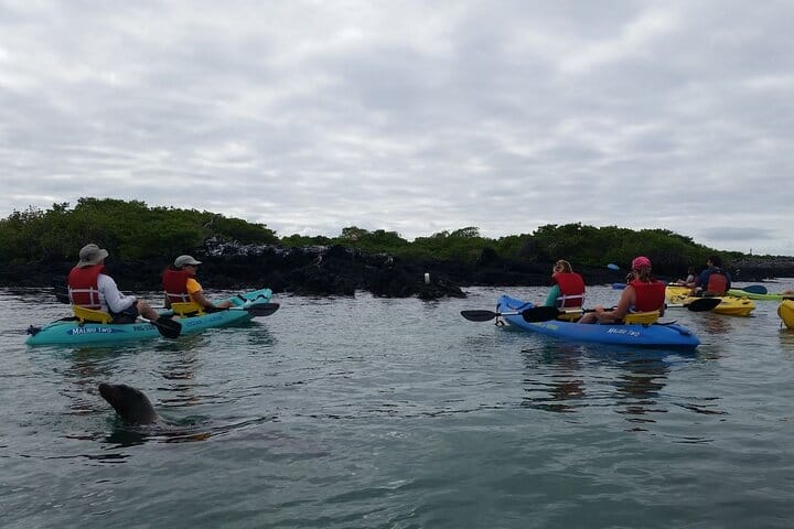 Kayaking