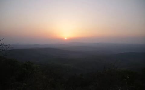 4-Day Saranda Forest Elephant Corridor Tour from Barbil