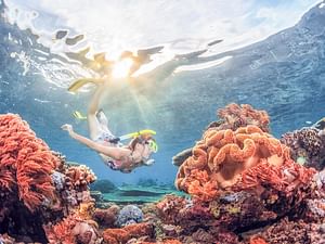 Bali: Padangbai Blue Lagoon Snorkeling Day Trip