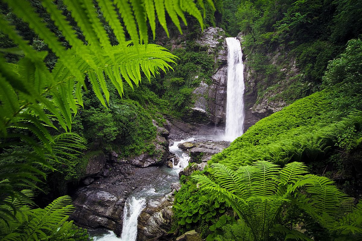 Lagodekhi Hiking Adventure: Explore Waterfalls & Ancient Fortresses