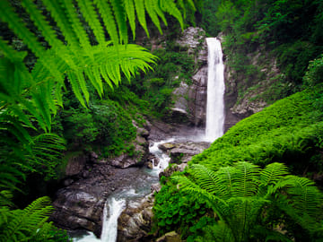 Hiking Tour to Lagodekhi National Park from Tbilisi