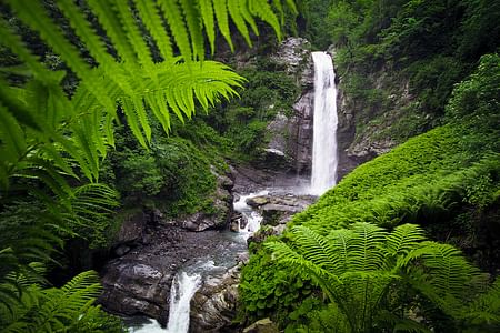 Lagodekhi Hiking Adventure: Explore Waterfalls & Ancient Fortresses