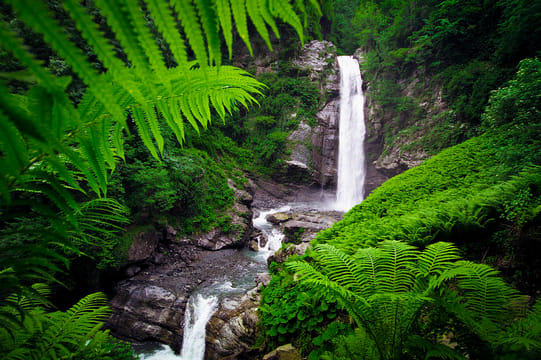 Lagodekhi Adventure: Hiking Tour from Tbilisi