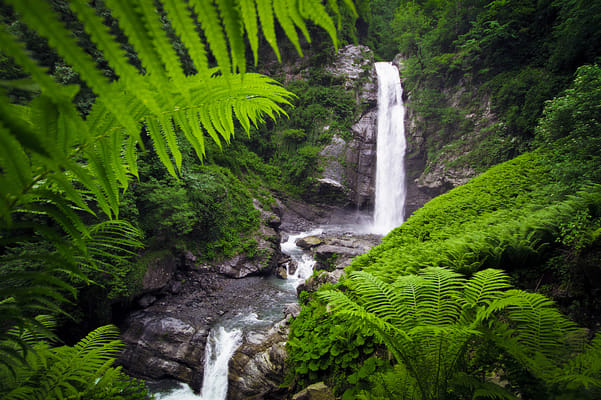 Lagodekhi Adventure: Hiking Tour from Tbilisi