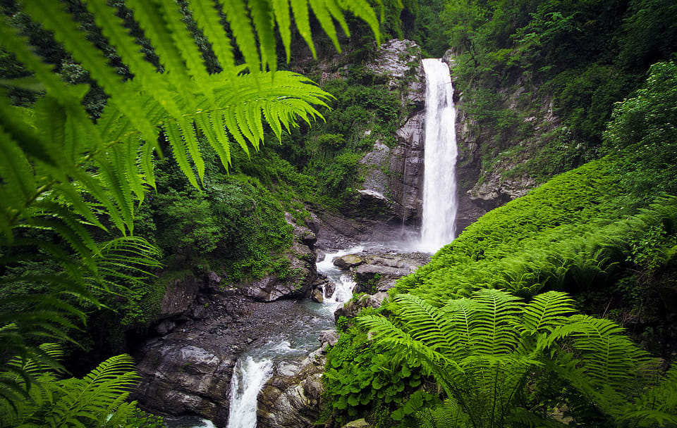 Hiking Tour to Lagodekhi National Park from Tbilisi