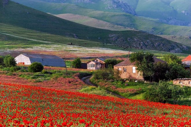 Highlights of Kartli Region with Family Lunch Option(Private Tour) photo 6