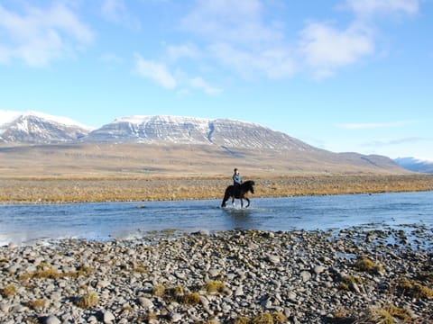 River Delta, photo 5