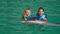 Dreams Puerto Aventuras: Dolphin Royal Swim  10