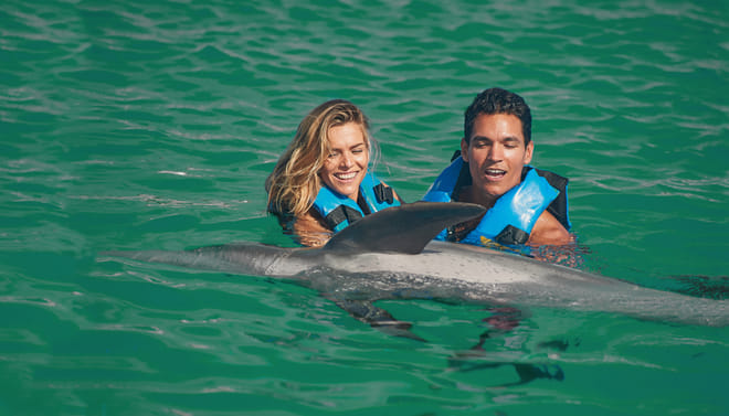 Dreams Puerto Aventuras: Dolphin Royal Swim  10