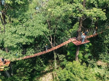 Ziplining Adventure in the Lush Landscapes of Thai Chang
