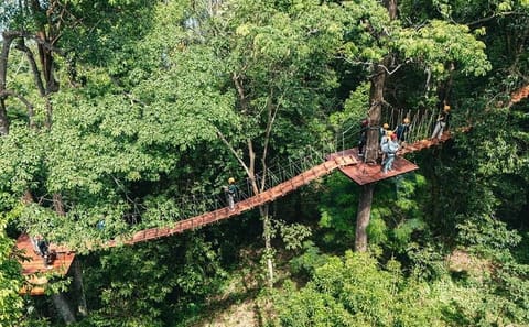 Ziplining Adventure in the Lush Landscapes of Thai Chang