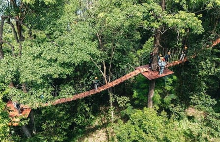 Ziplining Adventure in the Lush Landscapes of Thai Chang