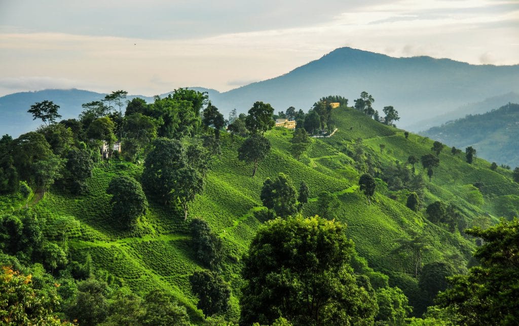 19 Days Mera Peak Climbing & Expedition – One Life-Changing Himalayan Adventure