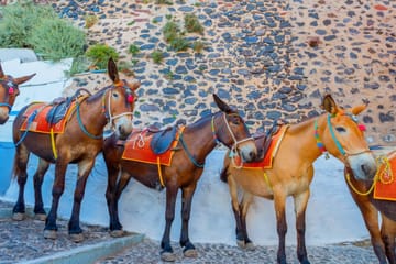 2-Day Santorini Tour from Heraklion with Accommodation
