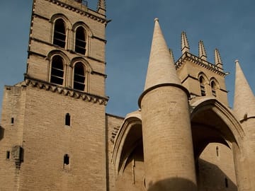 Private Historic Walking tour in Montpellier